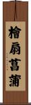 檜扇菖蒲 Scroll