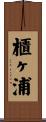 櫃ヶ浦 Scroll