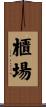 櫃場 Scroll