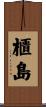櫃島 Scroll