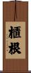 櫃根 Scroll