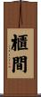 櫃間 Scroll