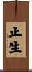 止生 Scroll