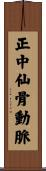 正中仙骨動脈 Scroll