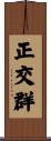 正交群 Scroll