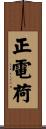 正電荷 Scroll