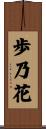 歩乃花 Scroll