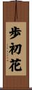 歩初花 Scroll