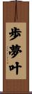 歩夢叶 Scroll