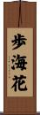 歩海花 Scroll