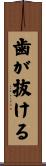 歯が抜ける Scroll