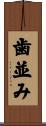 歯並み Scroll
