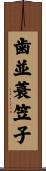 歯並蓑笠子 Scroll