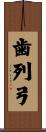 歯列弓 Scroll