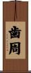 歯周 Scroll