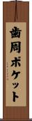 歯周ポケット Scroll
