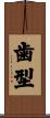 歯型 Scroll
