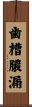 歯槽膿漏 Scroll