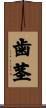 歯茎 Scroll