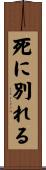 死に別れる Scroll