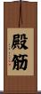 殿筋 Scroll
