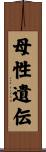 母性遺伝 Scroll