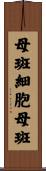 母斑細胞母斑 Scroll