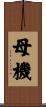 母機 Scroll