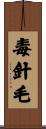 毒針毛 Scroll