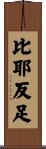 比耶反足 Scroll