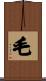 毛 Scroll