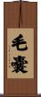 毛嚢 Scroll