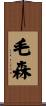 毛森 Scroll