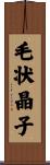 毛状晶子 Scroll