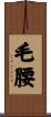 毛腰 Scroll