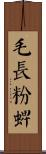 毛長粉蜱 Scroll