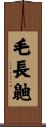 毛長鼬 Scroll