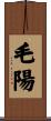 毛陽 Scroll
