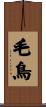毛鳥 Scroll