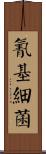 氰基細菌 Scroll