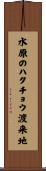 水原のハクチョウ渡来地 Scroll
