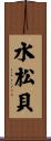 水松貝 Scroll
