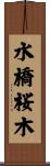 水橋桜木 Scroll