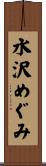 水沢めぐみ Scroll