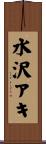 水沢アキ Scroll