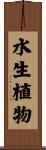 水生植物 Scroll