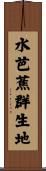 水芭蕉群生地 Scroll