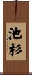 池杉 Scroll