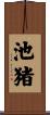 池猪 Scroll