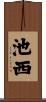 池西 Scroll